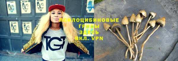 прущий лед Волосово