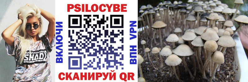 Купить  Нововоронеж  Галлюциногенные грибы GOLDEN TEACHER 